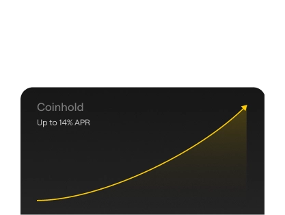 18 个月